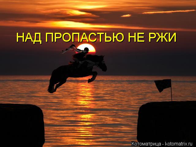 НАД ПРОПАСТЬЮ НЕ РЖИ... Котоматрица: НАД ПРОПАСТЬЮ НЕ РЖИ