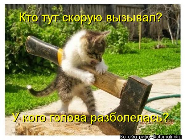 Кто тут скорую вызывал? У кого голова разболелась?... Котоматрица: Кто тут скорую вызывал? У кого голова разболелась?