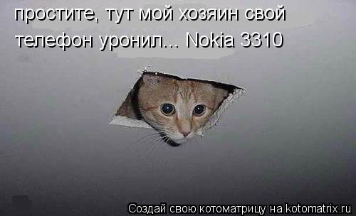 простите, тут мой хозяин свой телефон уронил... Nokia 3310... Котоматрица: простите, тут мой хозяин свой телефон уронил... Nokia 3310