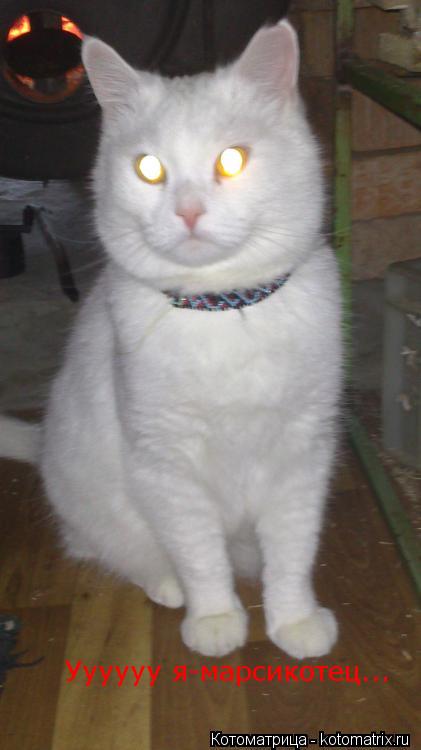 Уууууу я-марсикотец...... Котоматрица: Уууууу я-марсикотец...