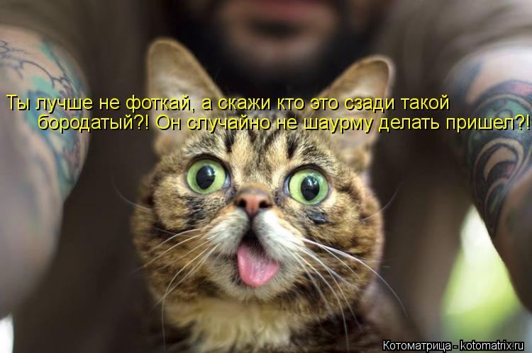 Ты лучше не фоткай, а скажи кто это сзади такой бородатый?! Он случайно не шаурму делать пришел?!... Котоматрица: Ты лучше не фоткай, а скажи кто это сзади такой бородатый?! Он случайно не шаурму делать пришел?!