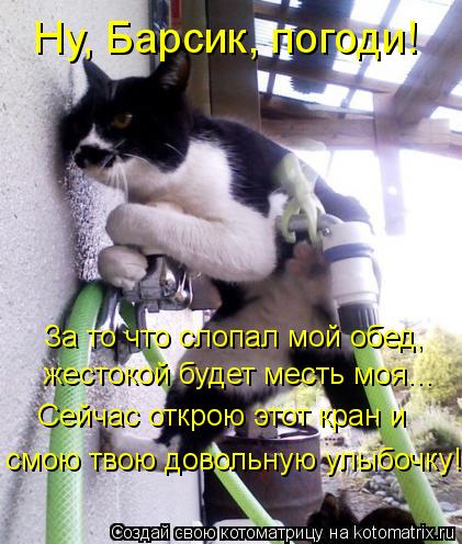 Ну, Барсик, погоди! За то что слопал мой обед, жестокой будет месть моя... Сейчас открою этот кран и... Котоматрица: Ну, Барсик, погоди! За то что слопал мой обед, жестокой будет месть моя... Сейчас открою этот кран и смою твою довольную улыбочку!