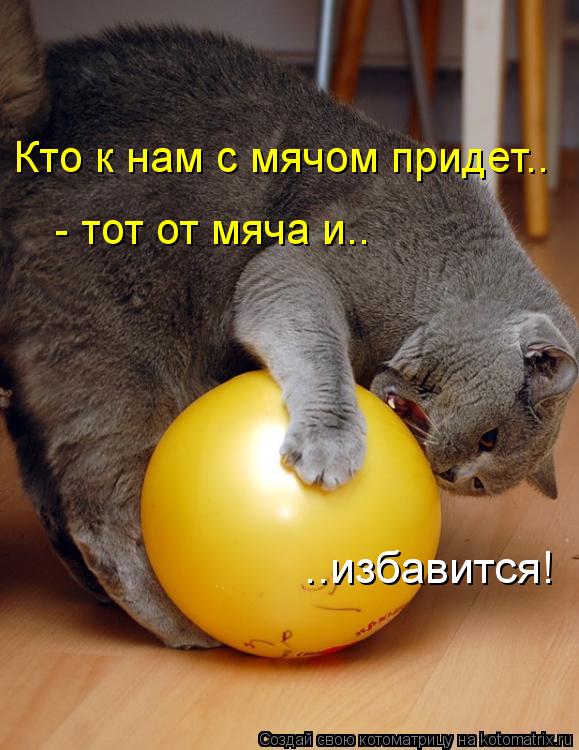 Кто к нам с мячом придет.. - тот от мяча и.. ..избавится!... Котоматрица: Кто к нам с мячом придет.. - тот от мяча и.. ..избавится!