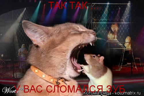 У ВАС СЛОМАЛСЯ ЗУБ ТАК ТАК ...... Котоматрица: У ВАС СЛОМАЛСЯ ЗУБ ТАК ТАК ...