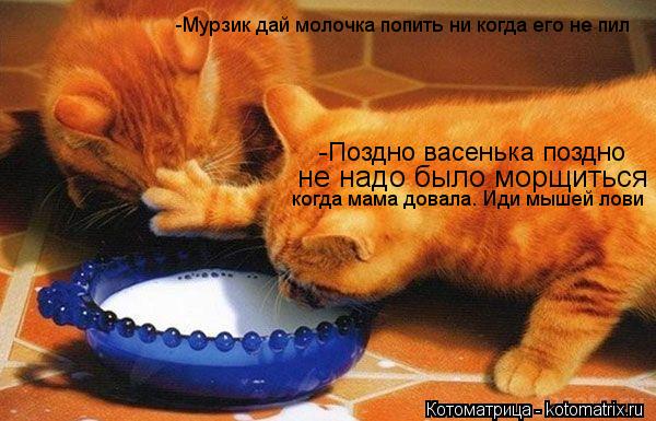 -Поздно васенька поздно -Мурзик дай молочка попить ни когда его не пил не надо было морщиться когда ... Котоматрица: -Поздно васенька поздно -Мурзик дай молочка попить ни когда его не пил не надо было морщиться когда мама довала. Иди мышей лови