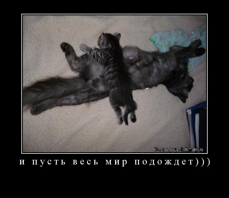 и пусть весь мир подождет))) ... Котоматрица: и пусть весь мир подождет)))