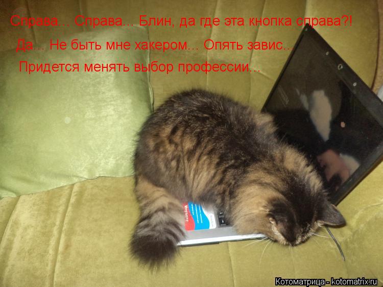 Справа... Справа... Блин, да где эта кнопка справа?! Да... Не быть мне хакером... Опять завис... Пр... Котоматрица: Справа... Справа... Блин, да где эта кнопка справа?! Да... Не быть мне хакером... Опять завис... Придется менять выбор профессии...