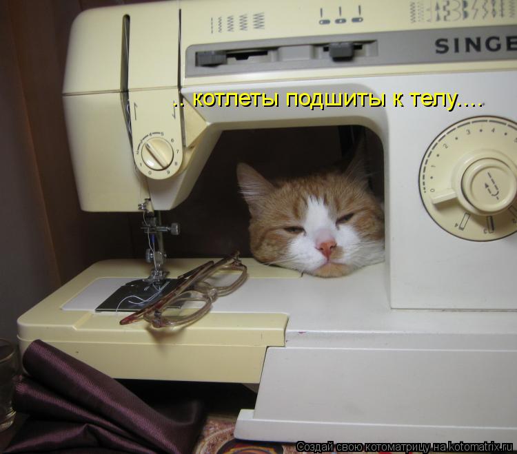 .. котлеты подшиты к телу....... Котоматрица: .. котлеты подшиты к телу....