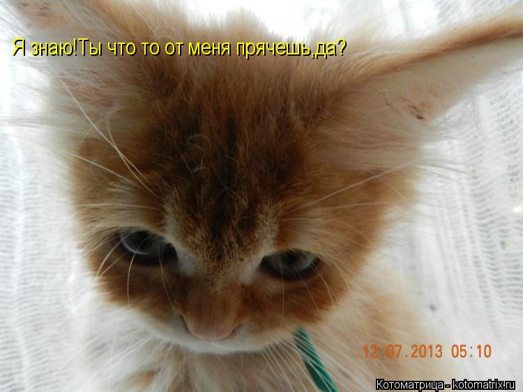 Котоматрица: Я знаю!Ты что то от меня прячешь,да?