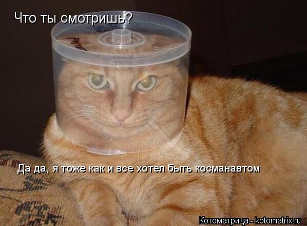 Что ты смотришь? Да да,я тоже как и все хотел быть косманавтом Да да, я тоже как и все хотел быть кос... Котоматрица: Что ты смотришь? Да да,я тоже как и все хотел быть косманавтом Да да, я тоже как и все хотел быть косманавтом
