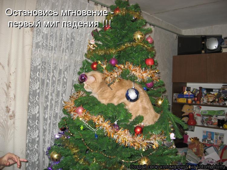 Остановись мгновение - первый миг падения !!!... Котоматрица: Остановись мгновение - первый миг падения !!!