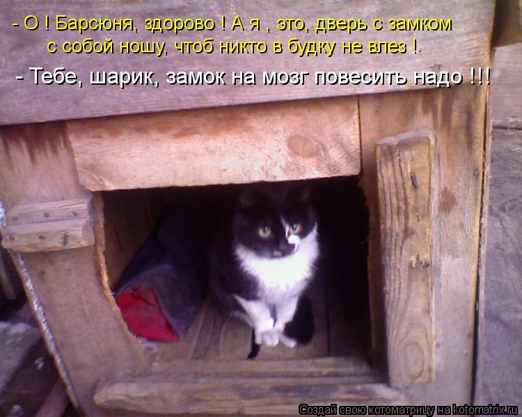 - О ! Барсюня, здорово ! А я , это, дверь с замком с собой ношу, чтоб никто в будку не влез ! - Тебе,... Котоматрица: - О ! Барсюня, здорово ! А я , это, дверь с замком с собой ношу, чтоб никто в будку не влез ! - Тебе, шарик, замок на мозг повесить надо !!!