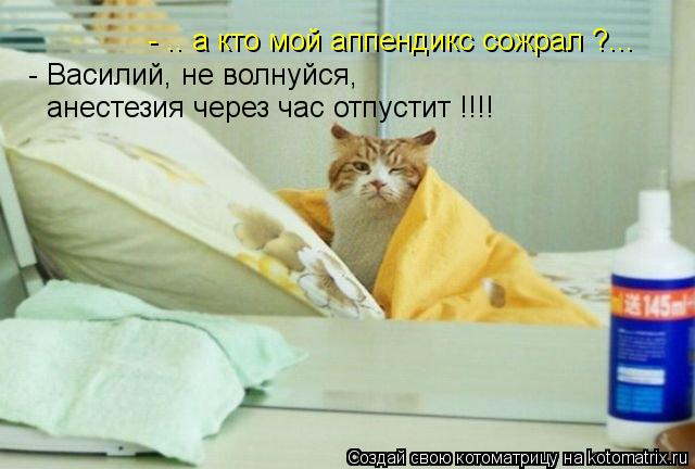 - .. а кто мой аппендикс сожрал ?... - Василий, не волнуйся, анестезия через час отпустит !!!!... Котоматрица: - .. а кто мой аппендикс сожрал ?... - Василий, не волнуйся, анестезия через час отпустит !!!!