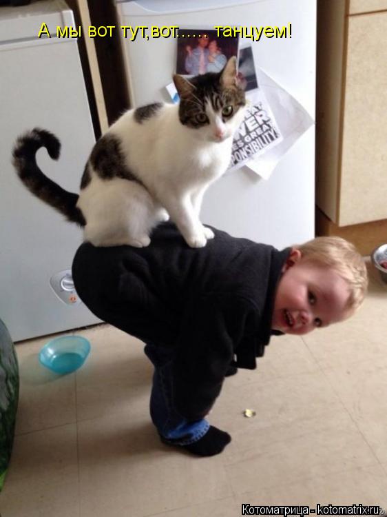 А мы вот тут,вот...... танцуем!... Котоматрица: А мы вот тут,вот...... танцуем!