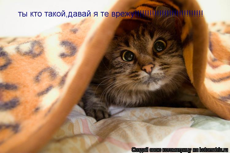 ты кто такой,давай я те врежу!!!!!!!!!!!!!!!!!!!!!!!!!!!!... Котоматрица: ты кто такой,давай я те врежу!!!!!!!!!!!!!!!!!!!!!!!!!!!!
