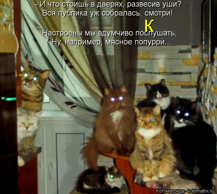 - И что стоишь в дверях, развесив уши? Вся публика уж собралась, смотри! Настроены мы вдумчиво послуш... Котоматрица: - И что стоишь в дверях, развесив уши? Вся публика уж собралась, смотри! Настроены мы вдумчиво послушать, Ну, например, мясное попурри... К