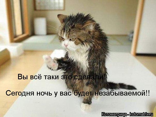 Вы всё таки это сделали! Сегодня ночь у вас будет незабываемой!! Сегодня ночь у вас будет незабываемо... Котоматрица: Вы всё таки это сделали! Сегодня ночь у вас будет незабываемой!! Сегодня ночь у вас будет незабываемой!!