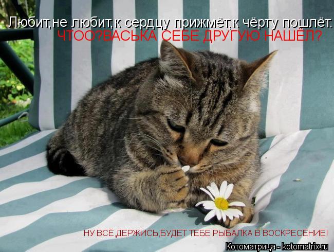 Любит,не любит,к сердцу прижмёт,к чёрту пошлёт.......... ЧТОО?ВАСЬКА СЕБЕ ДРУГУЮ НАШЁЛ!НУ ВСЁ,ДЕРЖИСЬ... Котоматрица: Любит,не любит,к сердцу прижмёт,к чёрту пошлёт.......... ЧТОО?ВАСЬКА СЕБЕ ДРУГУЮ НАШЁЛ!НУ ВСЁ,ДЕРЖИСЬ,БУДЕТ ТЕБЕ РЫБАЛКА В ВОСКРЕСЕНИЕ! ЧТОО?ВАС