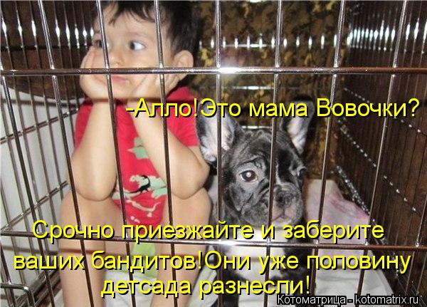 -Алло!Это мама Вовочки? Срочно приезжайте и заберите ваших бандитов!Они уже половину детсада разнесли... Котоматрица: -Алло!Это мама Вовочки? Срочно приезжайте и заберите ваших бандитов!Они уже половину детсада разнесли!