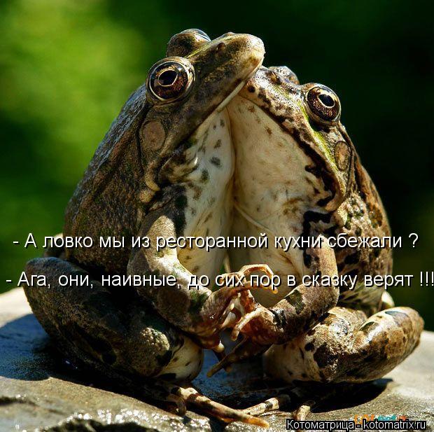 - А ловко мы из ресторанной кухни сбежали ? - Ага, они, наивные, до сих пор в сказку верят !!!... Котоматрица: - А ловко мы из ресторанной кухни сбежали ? - Ага, они, наивные, до сих пор в сказку верят !!!