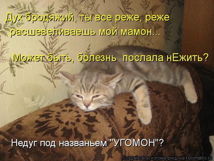 Дух бродяжий, ты все реже, реже расшевеливаешь мой мамон... Может быть, болезнь послала нЕжить? Дух... Котоматрица: Дух бродяжий, ты все реже, реже расшевеливаешь мой мамон... Может быть, болезнь послала нЕжить? Дух бродяжий, ты все реже, реже Недуг под наз