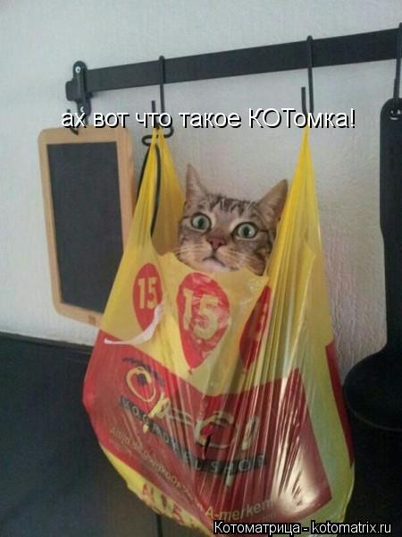 ах вот что такое КОТомка!... Котоматрица: ах вот что такое КОТомка!