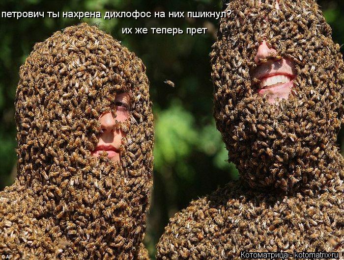 петрович ты нахрена дихлофос на них пшикнул? их же теперь прет... Котоматрица: петрович ты нахрена дихлофос на них пшикнул? их же теперь прет