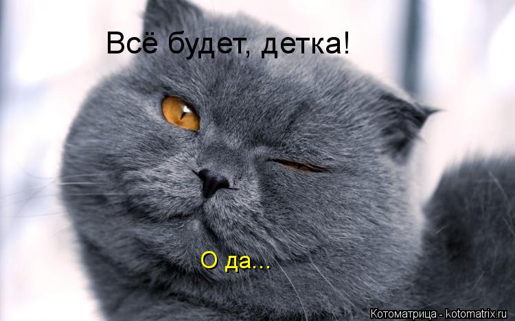 Всё будет, детка! О да...... Котоматрица: Всё будет, детка! О да...