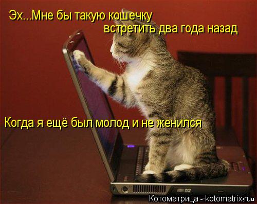 Котоматрица: Эх...Мне бы такую кошечку встретить два года назад Когда я ещё был молод и не женился