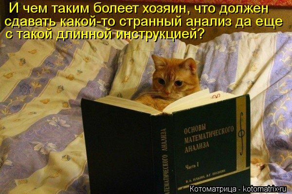 И чем таким болеет хозяин, что должен сдавать какой-то странный анализ да еще с такой длинной инстру... Котоматрица: И чем таким болеет хозяин, что должен сдавать какой-то странный анализ да еще с такой длинной инструкцией?