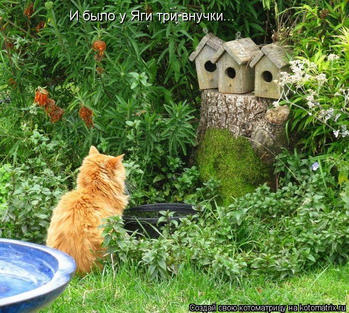 И было у Яги три внучки...... Котоматрица: И было у Яги три внучки...