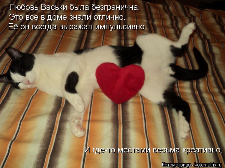 Котоматрица: Любовь Васьки была безгранична, Это все в доме знали отлично. Её он всегда выражал импульсивно И где-то местами весьма креативно.