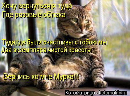 Хочу вернуться я туда Где розовые облака Туда,где были счастливы с тобою мы Два экземпляра чистой кр... Котоматрица: Хочу вернуться я туда Где розовые облака Туда,где были счастливы с тобою мы Два экземпляра чистой красоты Вернись ко мне Мурка!!!