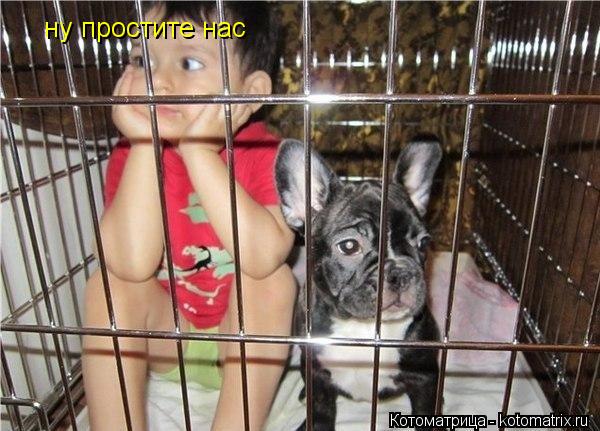ну простите нас... Котоматрица: ну простите нас