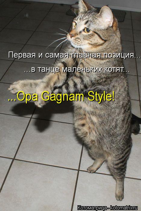 Первая и самая главная позиция... ...в танце маленьких котят... ...Opa Gagnam Style!... Котоматрица: Первая и самая главная позиция... ...в танце маленьких котят... ...Opa Gagnam Style!