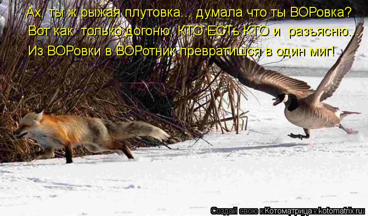 Ах, ты ж рыжая плутовка... думала что ты ВОРовка? Вот как только догоню, КТО ЕСТь КТО и разъясню..... Котоматрица: Ах, ты ж рыжая плутовка... думала что ты ВОРовка? Вот как только догоню, КТО ЕСТь КТО и разъясню... Из ВОРовки в ВОРотник превратишся в один ми