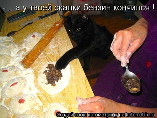 - .. а у твоей скалки бензин кончился !...... Котоматрица: - .. а у твоей скалки бензин кончился !...
