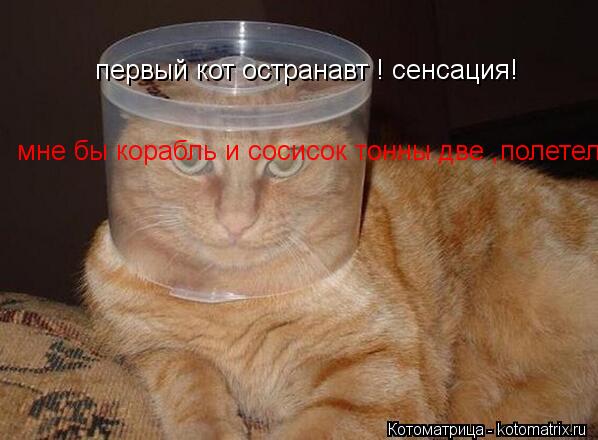 первый кот остранавт ! сенсация! мне бы корабль и сосисок тонны две ,полетел бы... Котоматрица: первый кот остранавт ! сенсация! мне бы корабль и сосисок тонны две ,полетел бы