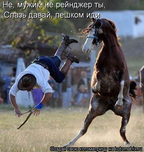 Не, мужик, не рейнджер ты, Слазь давай, пешком иди... Котоматрица: Не, мужик, не рейнджер ты, Слазь давай, пешком иди