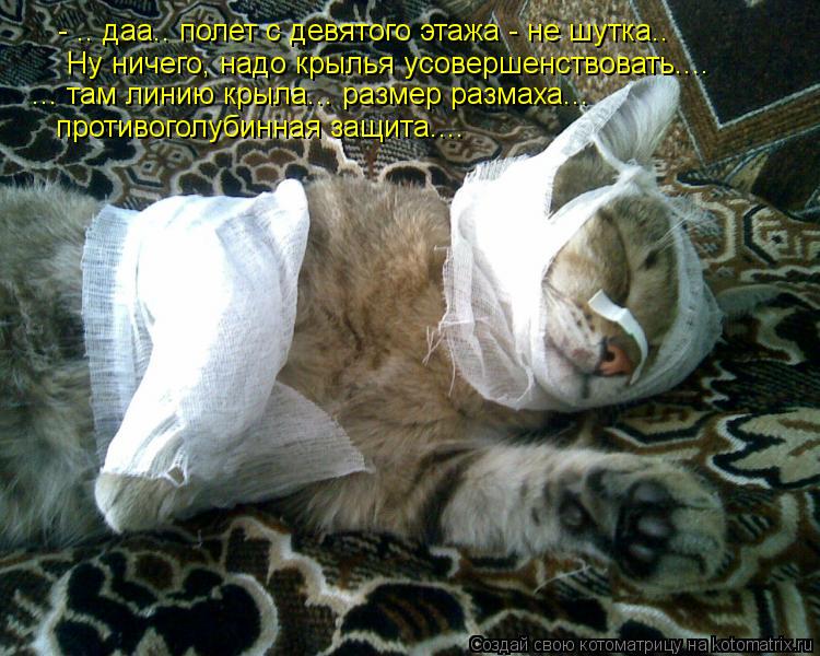 - .. даа.. полет с девятого этажа - не шутка.. Ну ничего, надо крылья усовершенствовать.... ... там л... Котоматрица: - .. даа.. полет с девятого этажа - не шутка.. Ну ничего, надо крылья усовершенствовать.... ... там линию крыла... размер размаха... противоголубинн