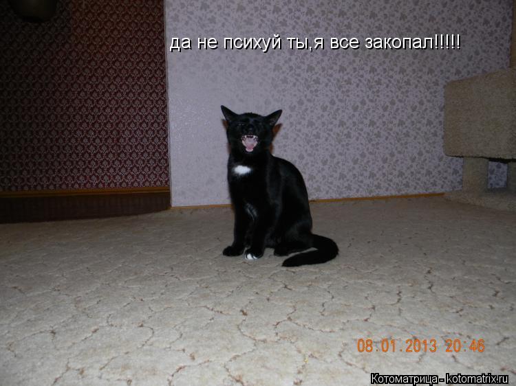 Котоматрица: да не психуй ты,я все закопал!!!!!