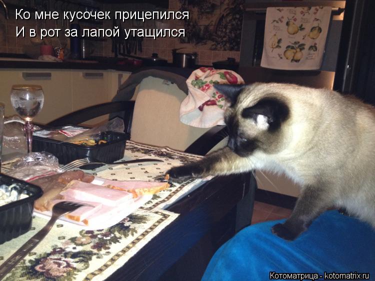 Ко мне кусочек прицепился И в рот за лапой утащился... Котоматрица: Ко мне кусочек прицепился И в рот за лапой утащился