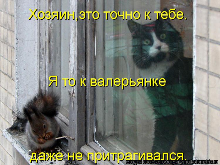 Хозяин,это точно к тебе. Я то к валерьянке даже не притрагивался.... Котоматрица: Хозяин,это точно к тебе. Я то к валерьянке даже не притрагивался.