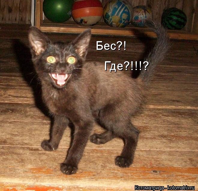 Котоматрица: Бес?! Где?!!!?