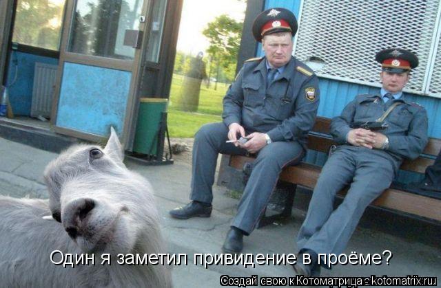Один я заметил привидение в проёме?... Котоматрица: Один я заметил привидение в проёме?