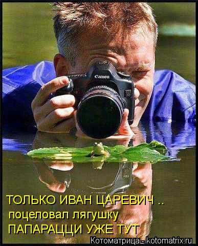 ПАПАРАЦЦИ УЖЕ ТУТ ТОЛЬКО ИВАН ЦАРЕВИЧ .. поцеловал лягушку... Котоматрица: ПАПАРАЦЦИ УЖЕ ТУТ ТОЛЬКО ИВАН ЦАРЕВИЧ .. поцеловал лягушку