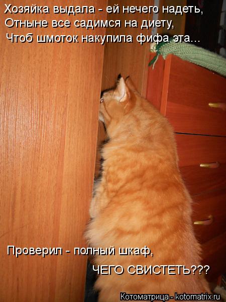 Хозяйка выдала - ей нечего надеть, Отныне все садимся на диету, Чтоб шмоток накупила фифа эта... Пров... Котоматрица: Хозяйка выдала - ей нечего надеть, Отныне все садимся на диету, Чтоб шмоток накупила фифа эта... Проверил - полный шкаф, ЧЕГО СВИСТЕТЬ???