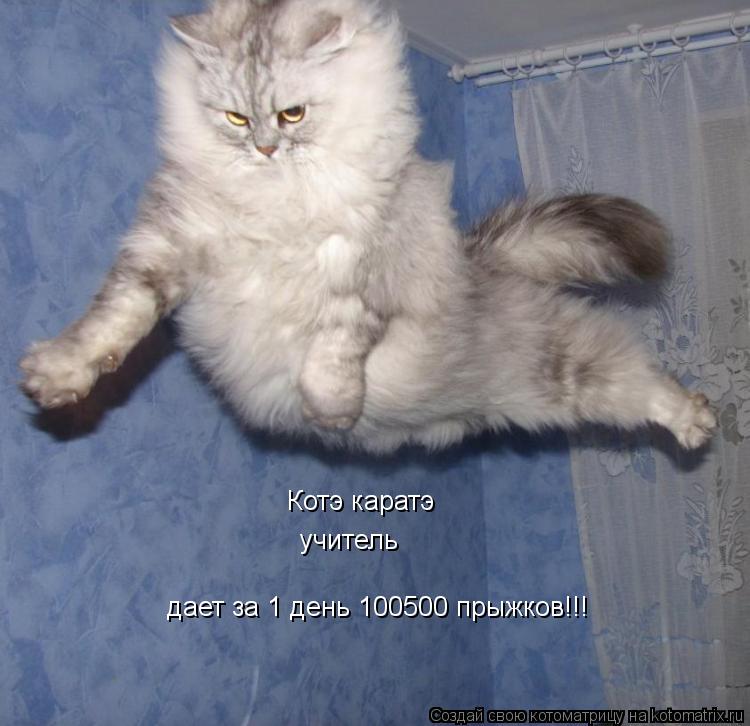 Котэ каратэ учитель дает за 1 день 100500 прыжков!!!... Котоматрица: Котэ каратэ учитель дает за 1 день 100500 прыжков!!!