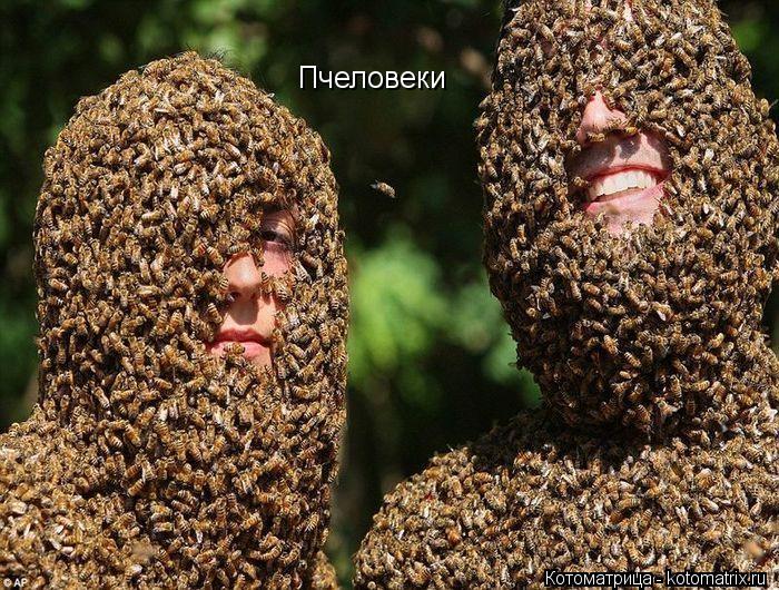Пчеловеки... Котоматрица: Пчеловеки