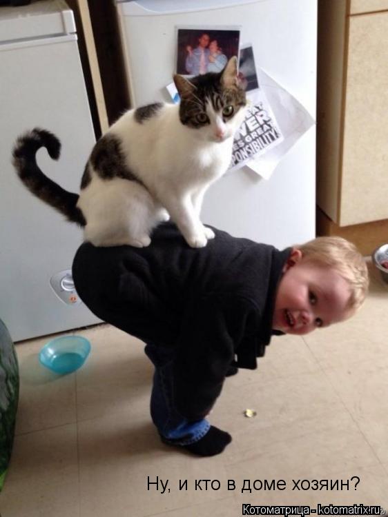 Ну, и кто в доме хозяин?... Котоматрица: Ну, и кто в доме хозяин?